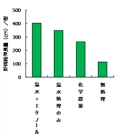 新梢総伸長量