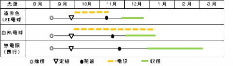 電照栽培の栽培暦