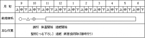 促成きゅうり つる下ろし 栽培のポイント 千葉県 促成きゅうり つる下ろし 栽培のポイント 千葉県