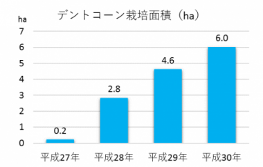 デントコーン栽培面積