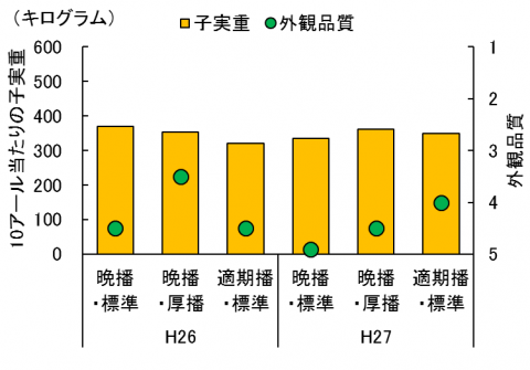 2播種量の増量が及ぼす影響