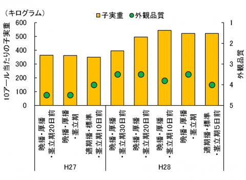 3追肥時期の違いが及ぼす影響