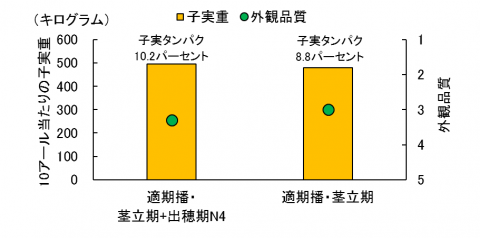 4出穂期追肥が及ぼす影響