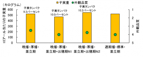 5晩播栽培における出穂期追肥の影響