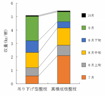 整枝法別の時期別収量