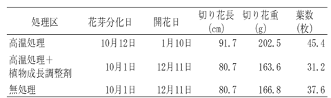 植物成長調整剤による花芽分化誘導
