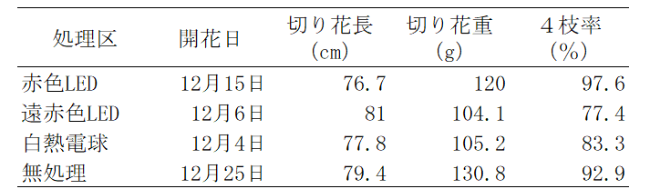 電照処理による開花促進と切り花品質