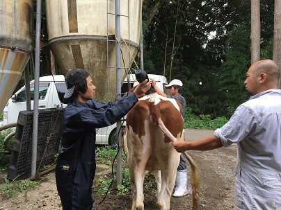 写真2.毛刈り技術講習会の様子