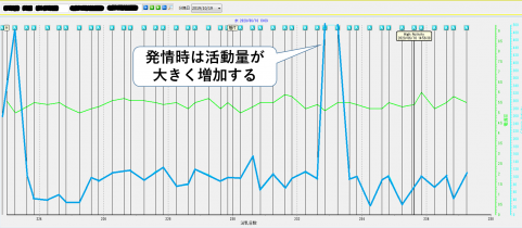 写真3