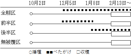 ダイコン図1-1-1