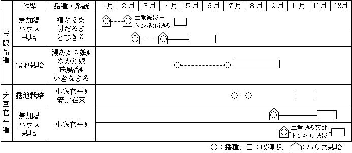 大豆在来種と市販品種を組み合わせたエダマメの長期連続出荷体系の図