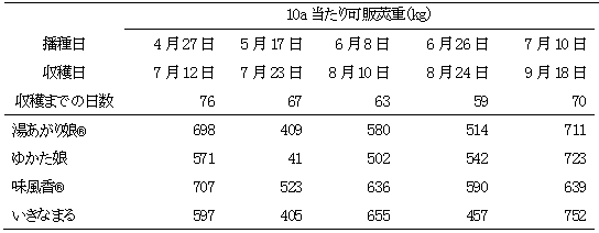 露地栽培における品種及び播種日別の収量の表