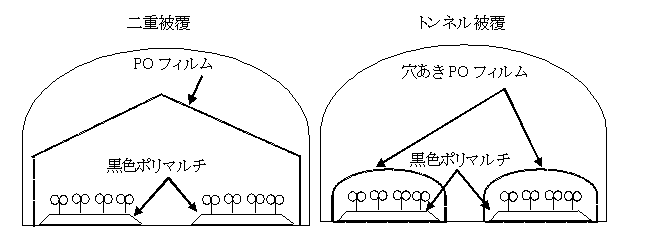 無加温ハウスの被覆方法の図