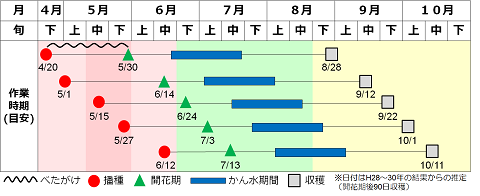 栽培暦