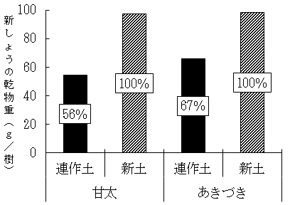 図1「甘太」と「あきづき」のいや地現象の発生程度