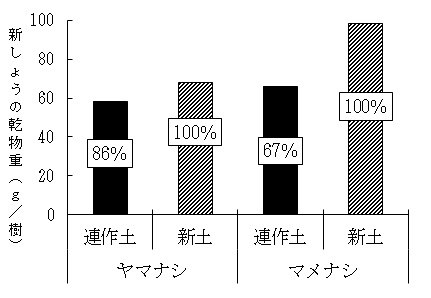 図2台木及び土壌の違いが「あきづき」苗木の新しょう乾物重に及ぼす影響