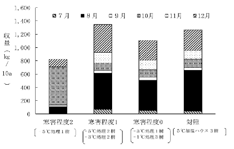 低温処理後に露地栽培した「サマークイーン」の収穫時期別収量