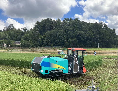 令和3年8月6日「つきはやか」収穫