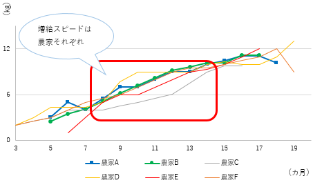 配合飼料給与量