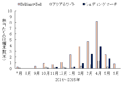 図1「Brilliant・Bell」及び慣行品種の月別株当たり収穫本数（定植2年目）