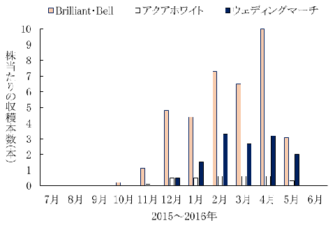 図2「Brilliant・Bell」及び慣行品種の月別株当たり収穫本数（定植3年目）