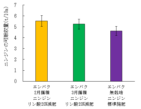 図2エンバクすき込み後のニンジンの可販収量