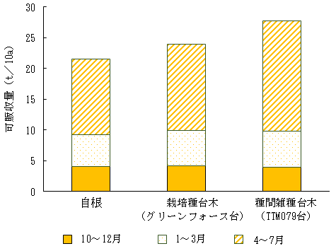 異なる台木における可販収量（平成30年度）