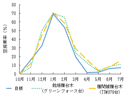 異なる台木における空洞果率の推移（平成30年度）