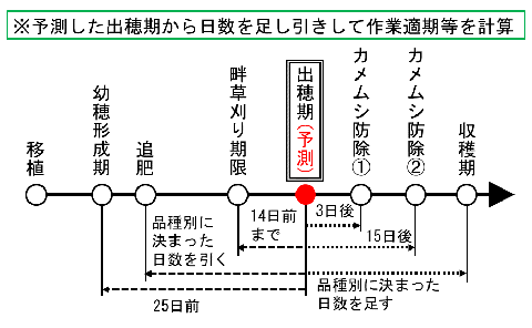 「でるた™」の予測・計算方法