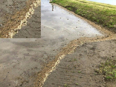 プラスチック殻の状況