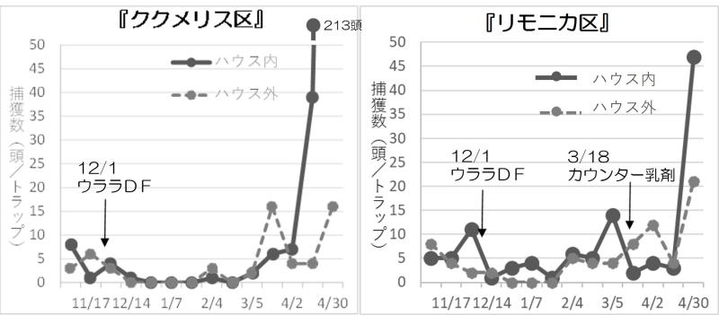 図1青色粘着版によるアザミウマ類のトラップ数推移のグラフ