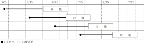 止め土と収穫時期のイメージを示した表