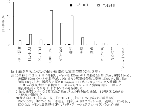 図1春夏どりニンジンの抽台株率の品種間差異（令和2年）の図