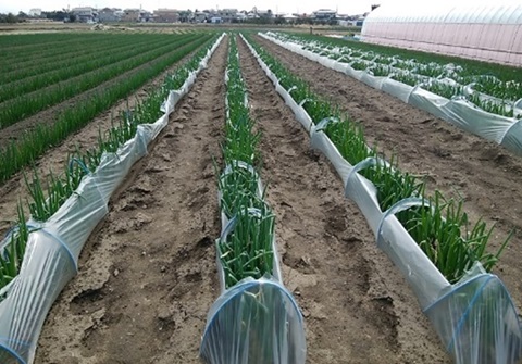 外気温に順応させている様子
