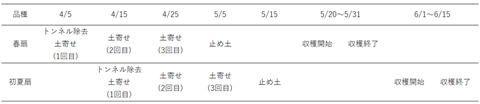 トンネル除去から収穫までのスケジュール（例）
