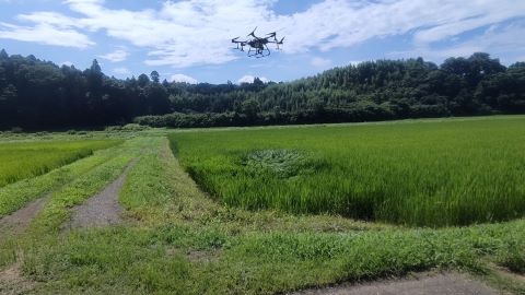 ドローンによる農薬散布作業風景の写真