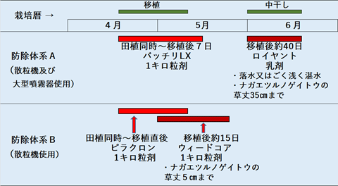 水田内における防除体系