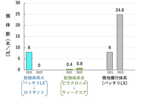 ナガエツルノゲイトウの個体数の推移