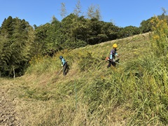 水田法面における刈り払い機による草刈り作業の様子