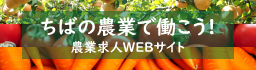 千葉の農業で働こう！農業求人WEBサイト