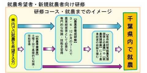 研修コース・就農までのイメージ