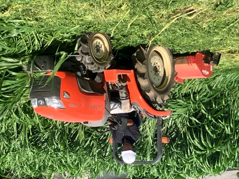 緑肥すき込み作業