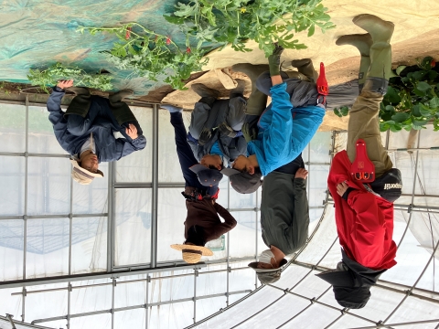 スイカ管理作業