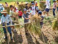 棚田オーナー制度の実施（鴨川市）