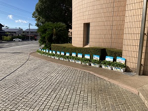 宿泊施設花壇のひまわり