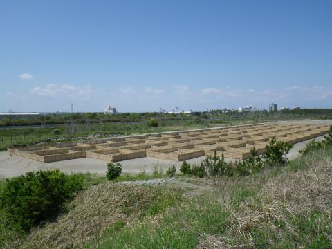 海岸防災林造成工事