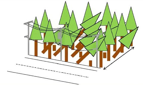 森林整備の遷移図（被害林）