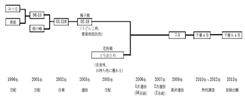 千葉S4号のあゆみ