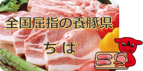全国屈指の養豚県ちばメイン画像