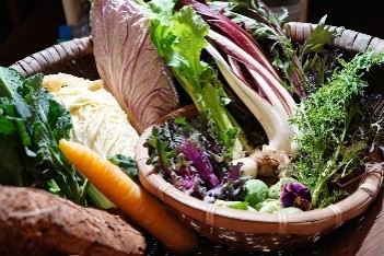 野菜の籠盛りの画像